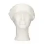 CMT Haarnet met Klep Universeel Polyester Wit One size