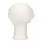 CMT Haarnet met Klep Universeel Polyester Wit One size